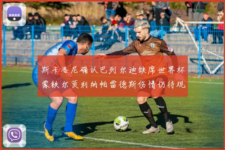 斯卡洛尼确认巴列尔迪缺席世界杯蒙铁尔莫利纳帕雷德斯伤情仍待观察