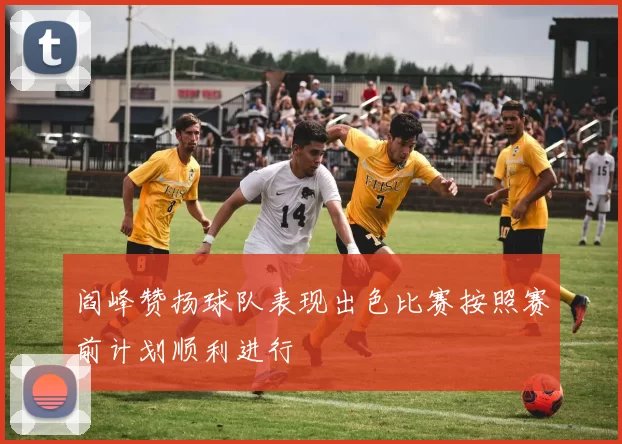 阎峰赞扬球队表现出色比赛按照赛前计划顺利进行
